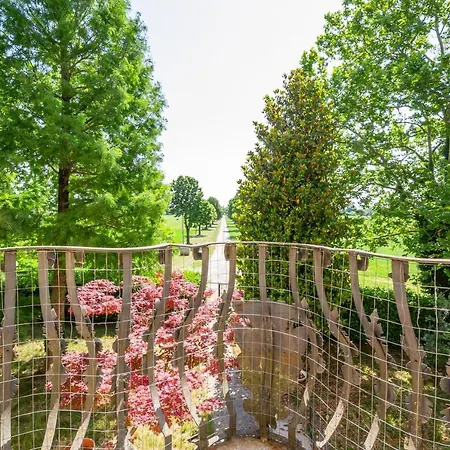 Vila Wonderful Villa In The Countryside With Private Garden Parma